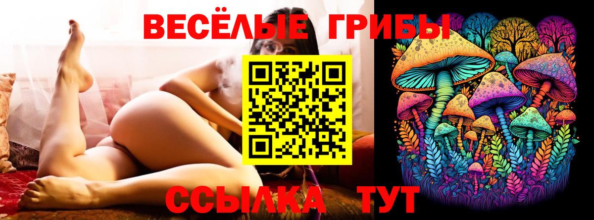 Псилоцибиновые грибы GOLDEN TEACHER Клин